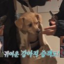 세븐게임랜드 이미지