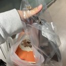 오늘의 에그타르트 창업반 수업 후기, 노원 헤스론 / 뚱에타 짱💛