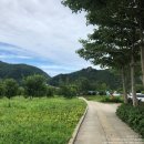 버스정류장 07-791 | [애견동반 울릉도 여행 8편]저동항 맛집 791토스트/ 울릉도 필수 여행코스 나리분지/나리분지 맛집...