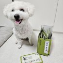 죽 제 | 강아지보양죽 펫라벨 보양비법 보양식 전복죽 후기