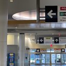 kt 공항지사 | 휴스턴 공항 - Hertz 렌트카 픽업 후기(차량 선택 방법) / 사고 접수 및 차량 교환 후기 😢 도난 물품...