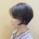송이헤어라인 - 강서구 | 송이헤어라인
