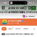 양구동물병원 | [양구살이 꼭 알아둬야할것] 슬기로운 양구생활✨👍🤩