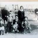 순흥목장 이미지