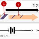 미래인력 - 논산시 중앙로480번길 27-1 | 미래인력