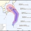 [ SBS 뉴스 ] 종다리 역C자로 움직일뜻 폭염 꺽는 효자될까.? 이미지