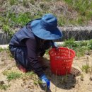 한솔농장 이미지