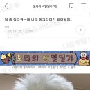 동그라미 이미지