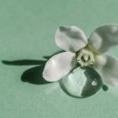 예다여성의원 이미지