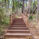 해오름 유아숲체험원 이미지