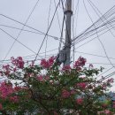 감천2동-2 이미지