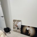 그라피한 작가님과 서울 올데이 촬영📸 : 메이븐 웨딩+이태원 온공간 스튜디오+헤어변형 도희 실장님 총후기