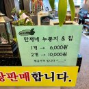 갈비만찬 이미지