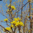 하루네 농장 이미지