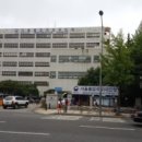 대림행정사 이미지