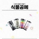 식물공예 이미지