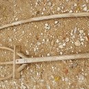 포크포크 이미지