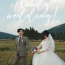 빛오름 이미지