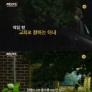 (주)매경취업뉴스
