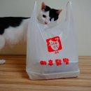 수촌마을_서 이미지