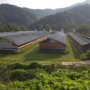 산마을 양계장 네이버블로그