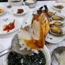 중도매인20호 이미지