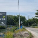 새움정