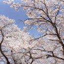 (주)푸른바다 이미지