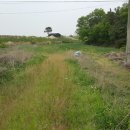 대월목장 이미지