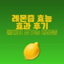 상은섬유 | 레몬즙 효능 효과, 홀베리 레몬즙 복용 후기