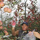 금부농원 이미지