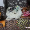 은비세탁 이미지