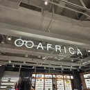 아프리카안경 던던동대문점 이미지