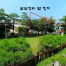 여주-0520 Daum카페