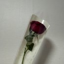 제아무스 네이버블로그