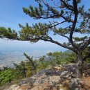 세영문화원
