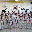 한양대 도담 태권도 이미지