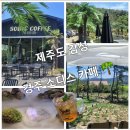 산업도로 | 🌴 경주에서 제주도를 만나다! 제주 감성 카페 경주'소디스' 방문 후기🌴