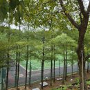 에코랜드수영장 축구장 이미지