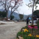 금오도황토민박 이미지