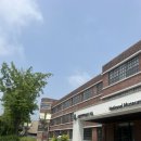 국립현대미술관 서울 전시후기 (사물은 어떤 꿈을 꾸는가, 가변하는 소장품, 백 투 더 퓨처)