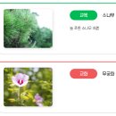 두레자연중학교 이미지