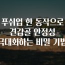 포지티브 도그 트레이닝센터 | 푸쉬업 한 동작으로 견갑골 안정성 극대화하는 비밀 기법