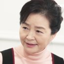 원미경 카카오 검색결과