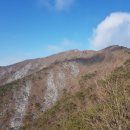 산정대덕 이미지