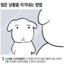 두잇라이팅