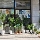 보아뱀과코끼리미술교습소