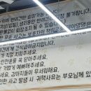 헤이댕댕 이미지