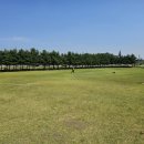 화풍이월체육공원 이미지