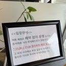 다이닝옥남 | 강원도 속초 파스타 화덕피자 맛집 추천 다이닝옥남 내돈내산 후기